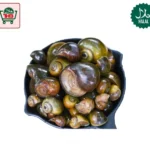 Apple Snail (500g)