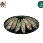 Baila fish / Bele fish