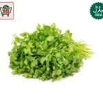 Fresh Coriander Leaves (100g)