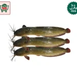Magur Fish Whole (Cat Fish) (700g - 800g)