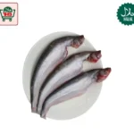 Pabda Fish Frozen Block (500g)