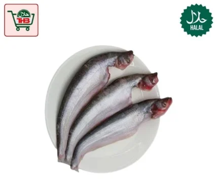Pabda Fish Frozen Block (500g)