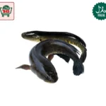 Shol Fish/ Snake Head Clean (শোল মাছ) (500g)