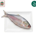 Hilsha Fish Whole (1000-1300g)
