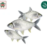 Puti Fish (250g)