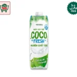 Vina Milk Coconut Water (1ltr)